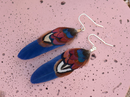 Small Real Pheasant Feather Earrings in Copper, Green, Navy Blue, Teal or Burgundy