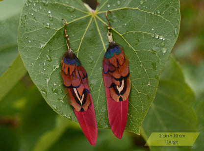 Burgundy and Pheasant Feather Earrings