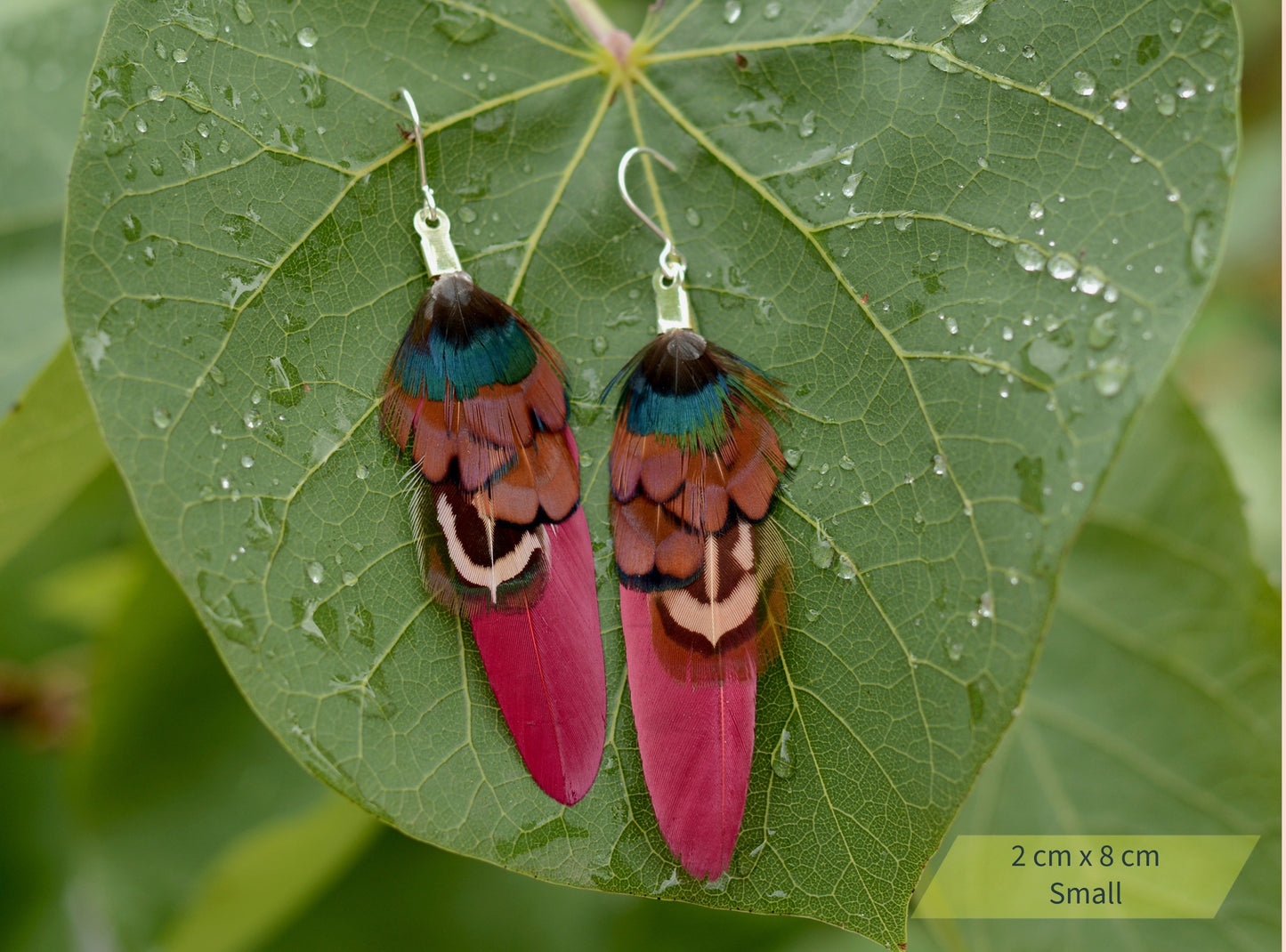 Burgundy and Pheasant Feather Earrings