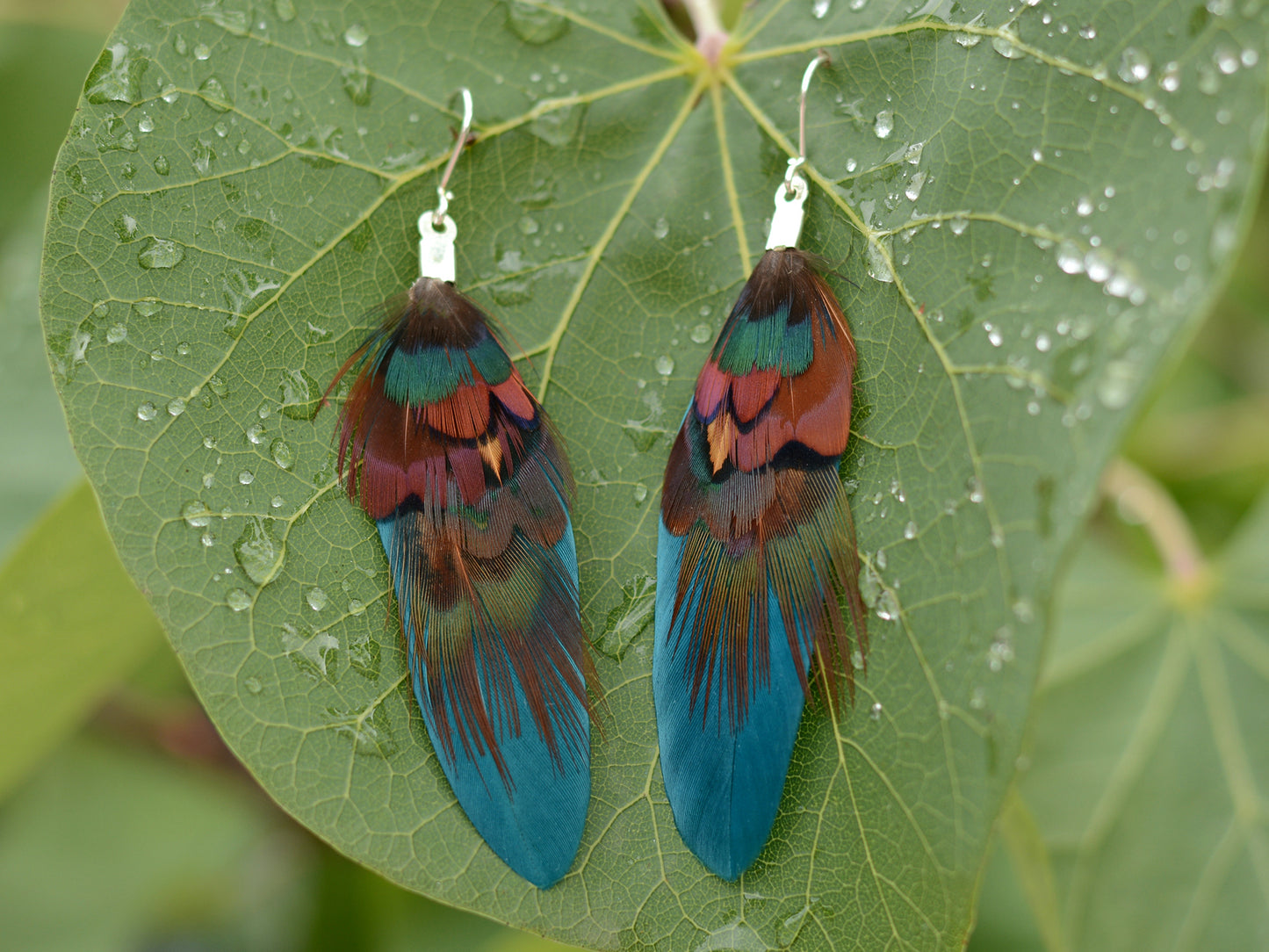 Small Real Pheasant Feather Earrings in Copper, Green, Navy Blue, Teal or Burgundy