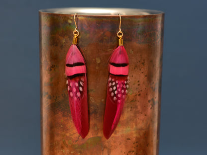 Raspberry and Magenta Pink Ombre Feather Earrings