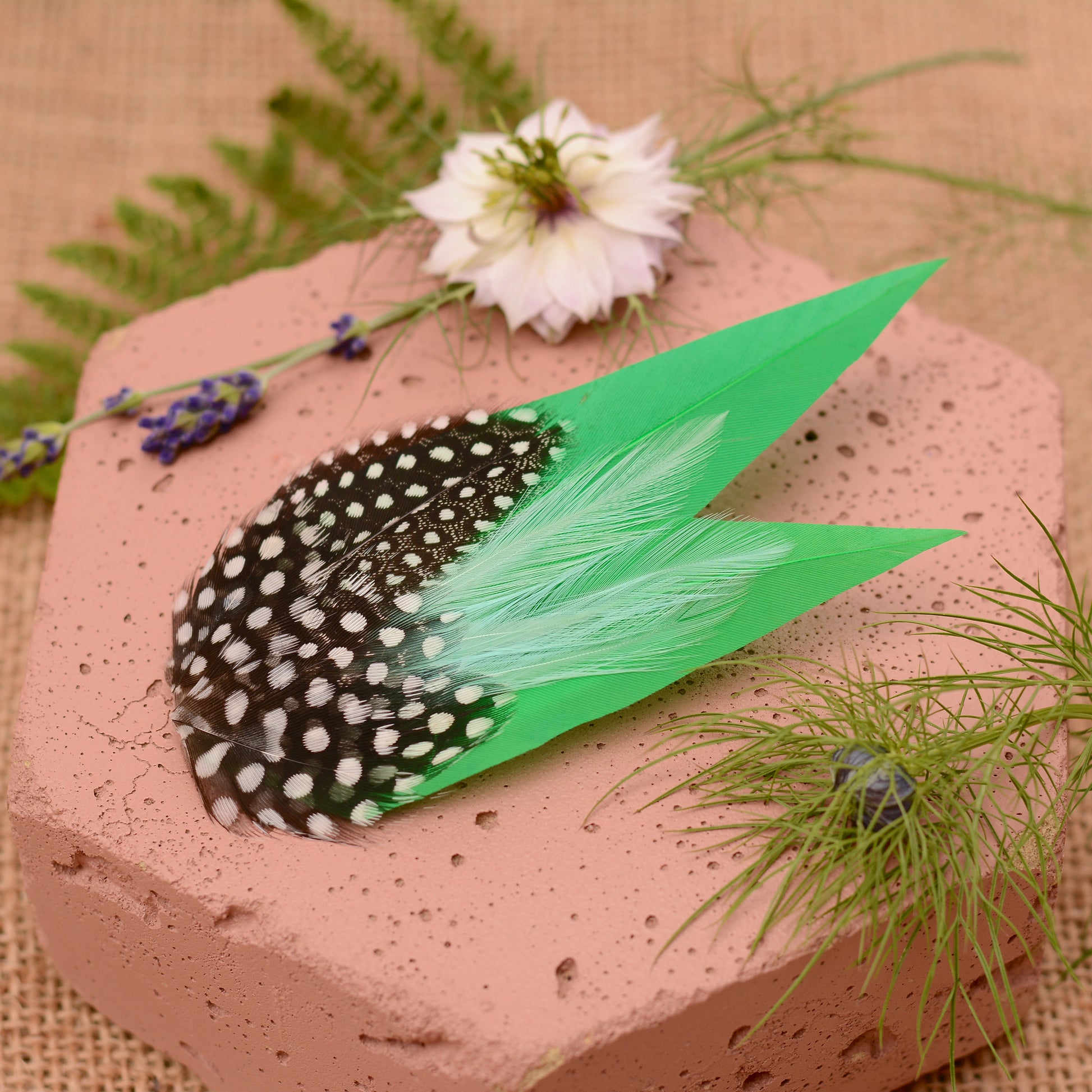 Green feathered hair clip with spotted polka dot feathers on a textured surface with flowers and greenery.