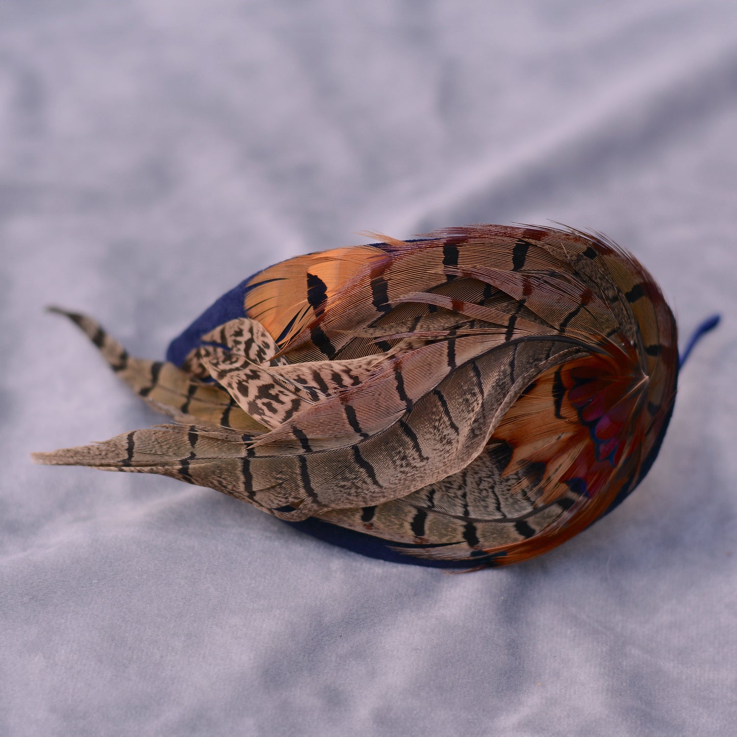 Face Hugger Feather Fascinator in Navy Blue Velvet and Copper Pheasant Feathers