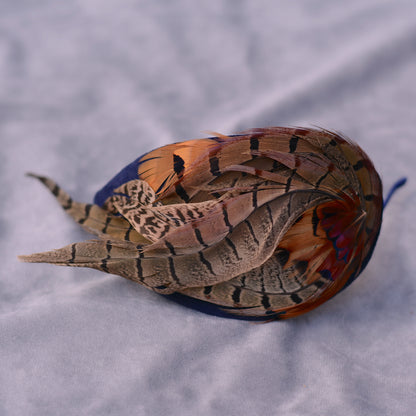 Face Hugger Feather Fascinator in Navy Blue Velvet and Copper Pheasant Feathers