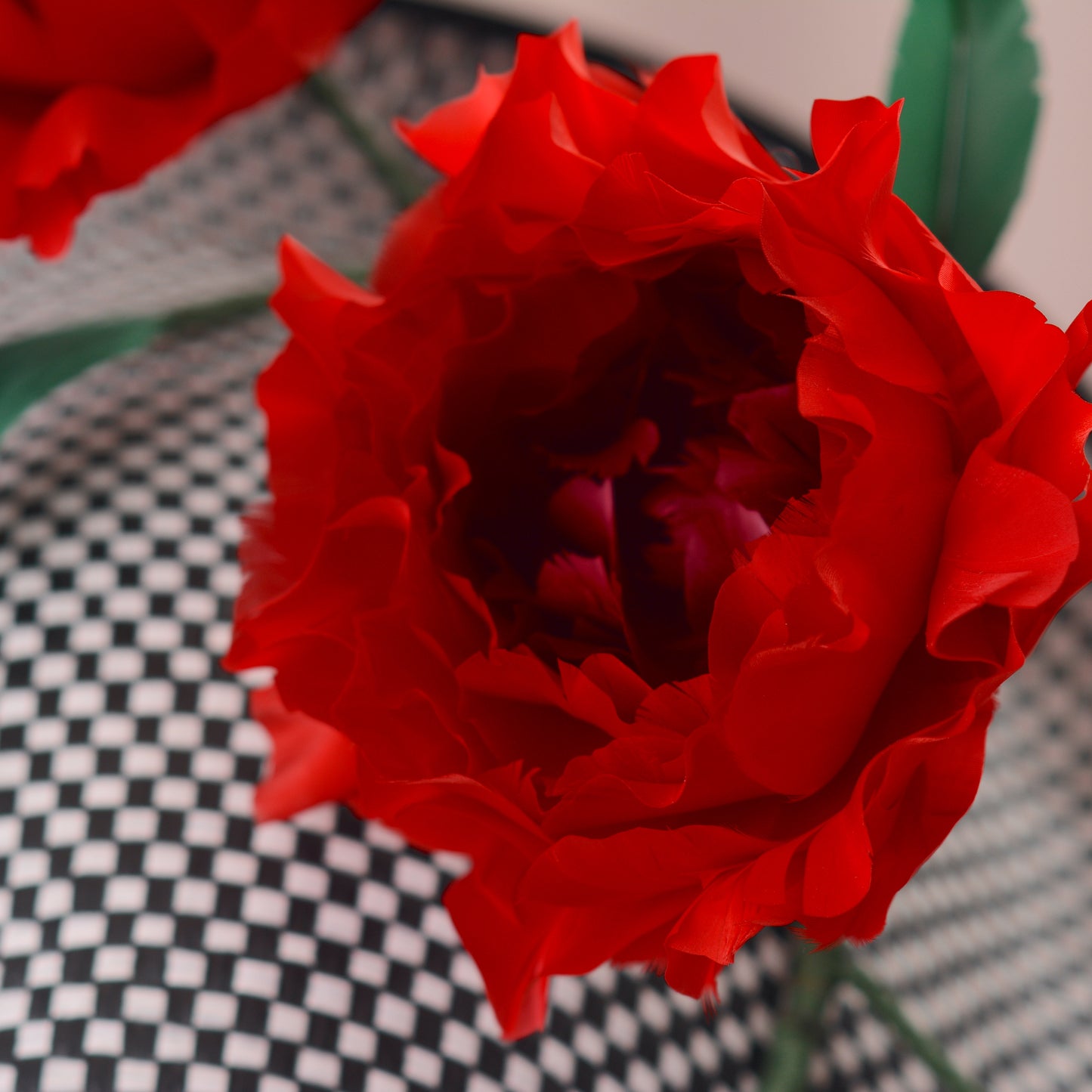 Giant Red Feather Rose Saucer Hat on Black and White