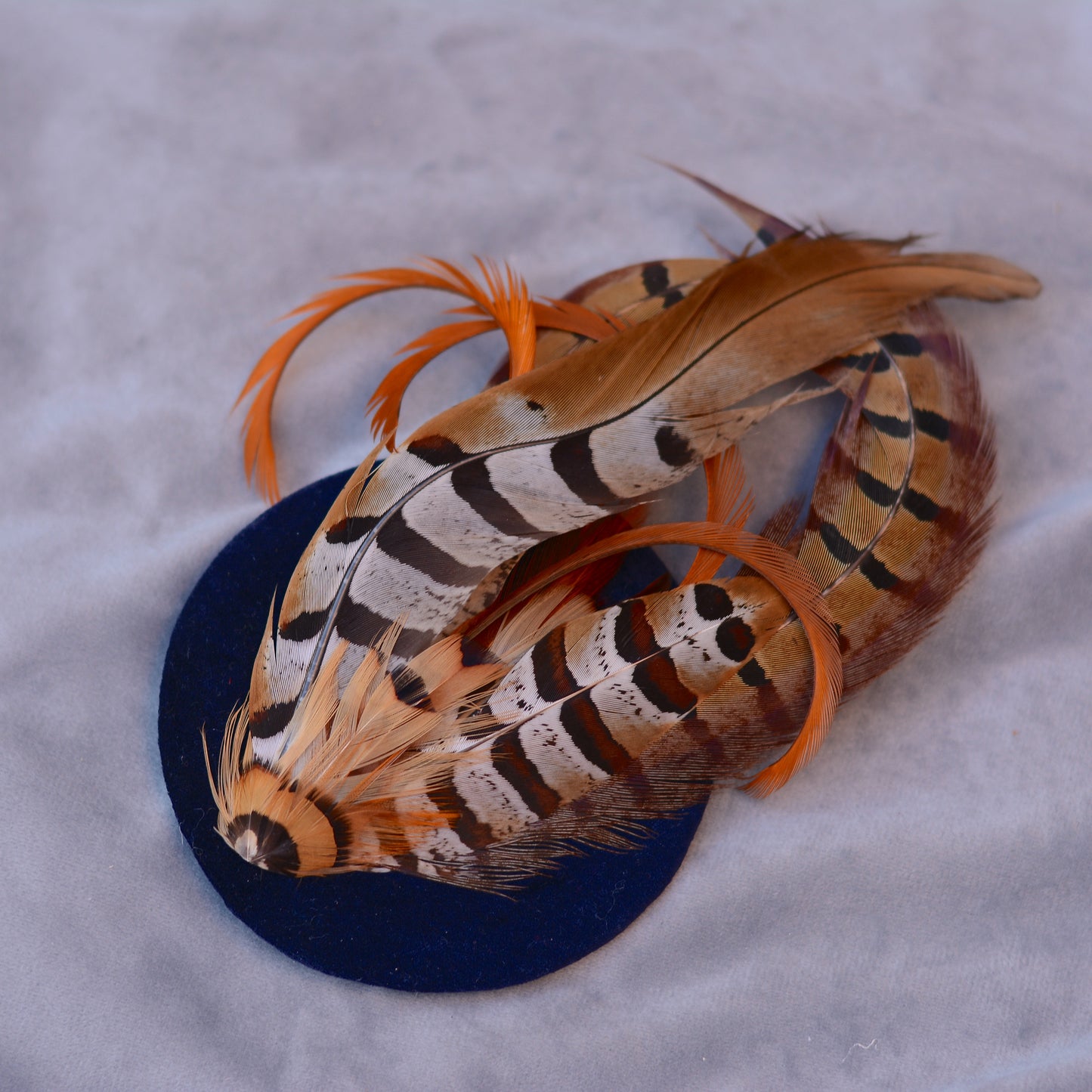 Copper Pheasant Feather Fascinator in Navy Blue Velvet