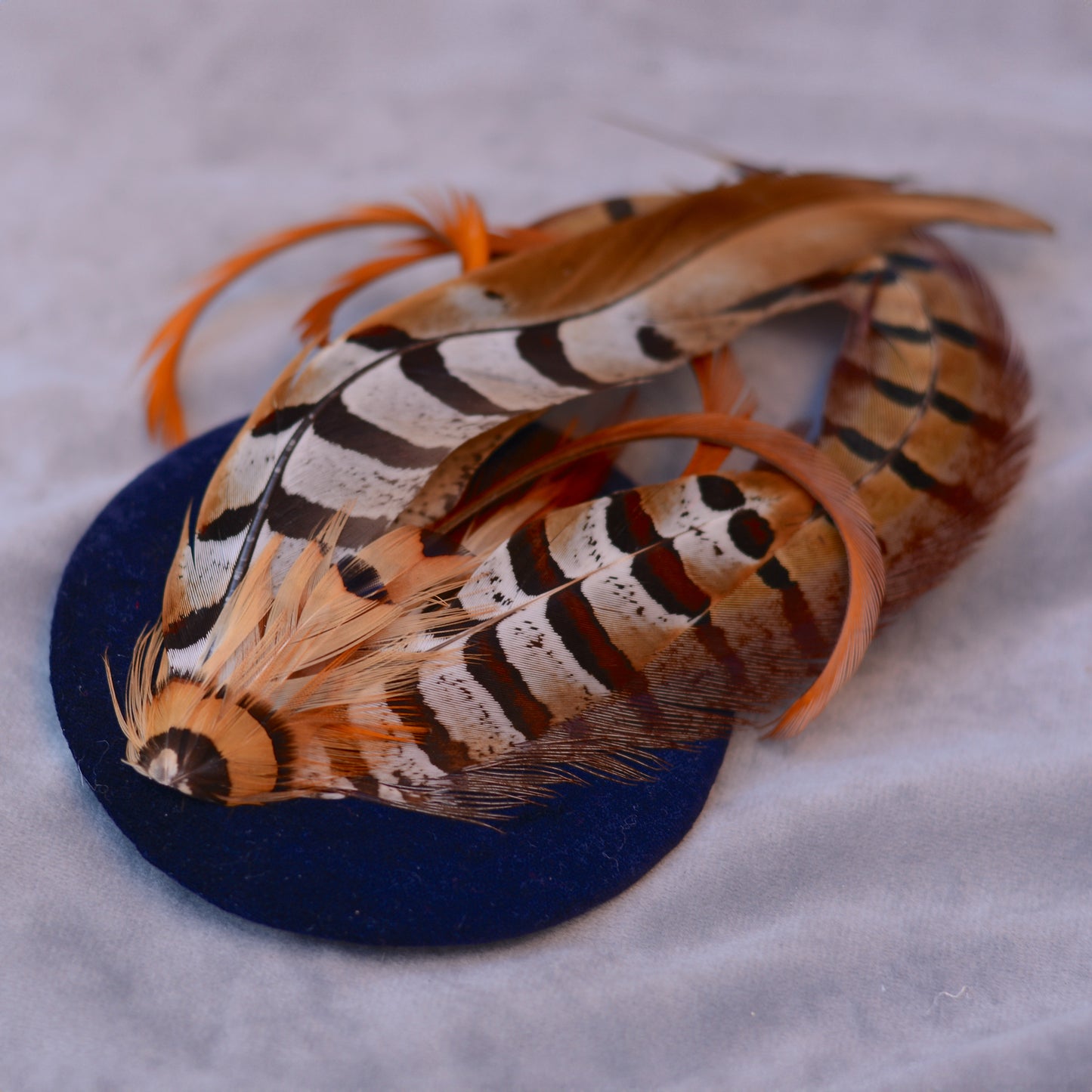 Copper Pheasant Feather Fascinator in Navy Blue Velvet
