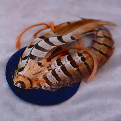Copper Pheasant Feather Fascinator in Navy Blue Velvet