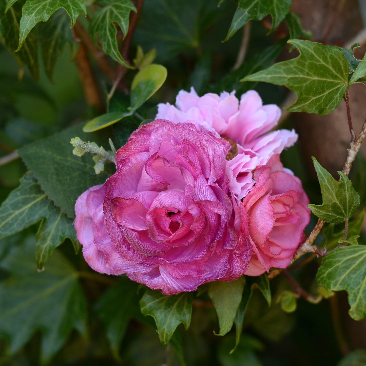 Bright Pink Peony, Rose and Daisy Flower Hair Clip