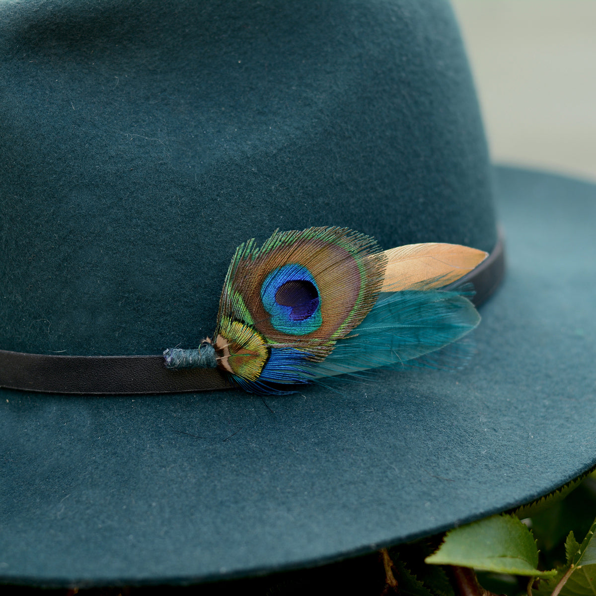 A dark teal felt hat with a black band, decorated with a vibrant peacock feather hat pin showing blue, green, and gold tones.