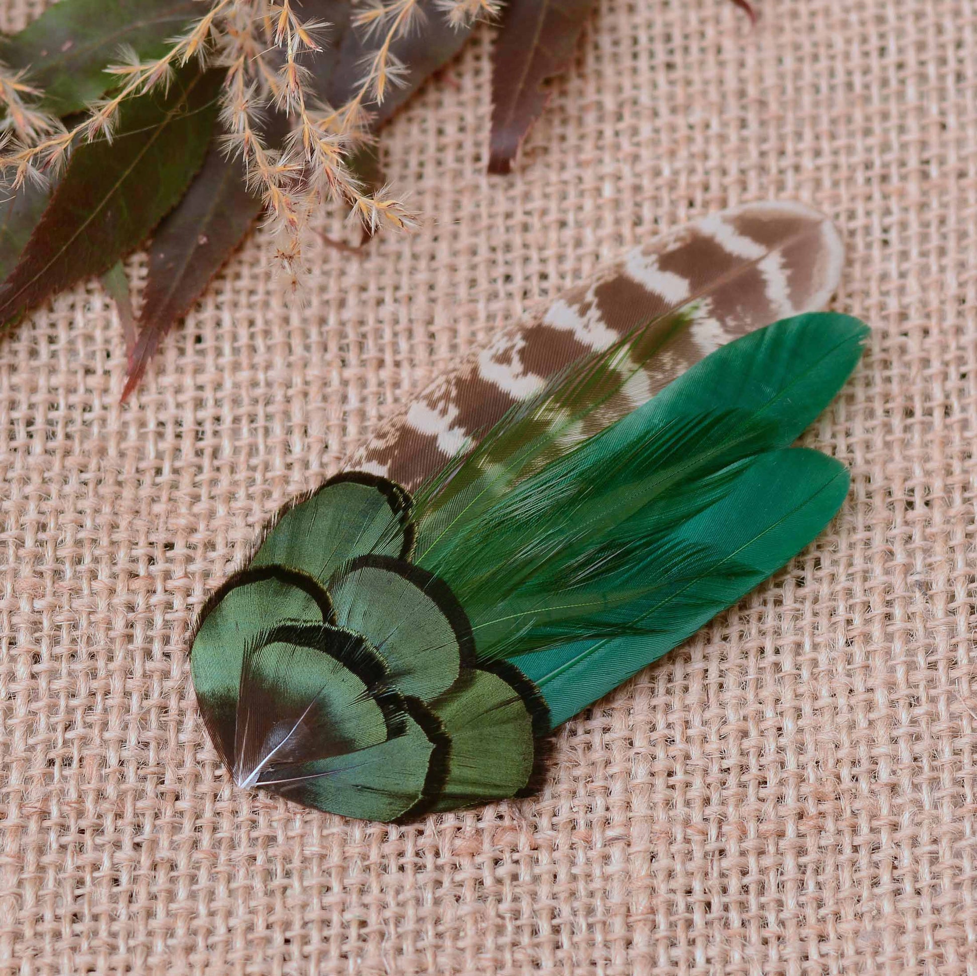 A decorative feather hair clip fascinator. Hand crafted in rich emerald green feathers and brown-and-white banded pheasant feathers.  On a textured beige burlap background with dried leaves as props. 