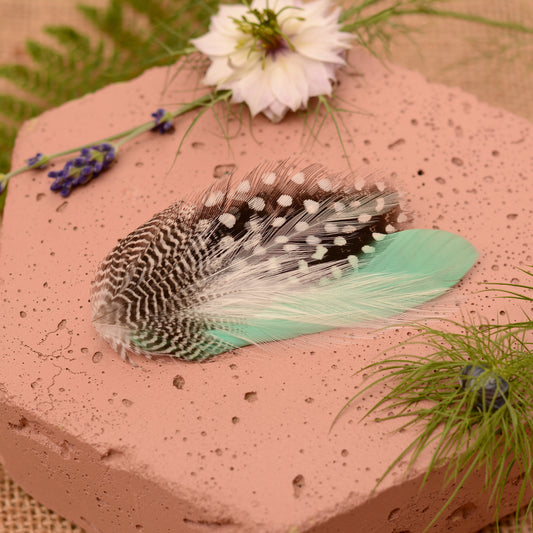 Feather Hair Clip in Mint Green and Polka Dot No.11