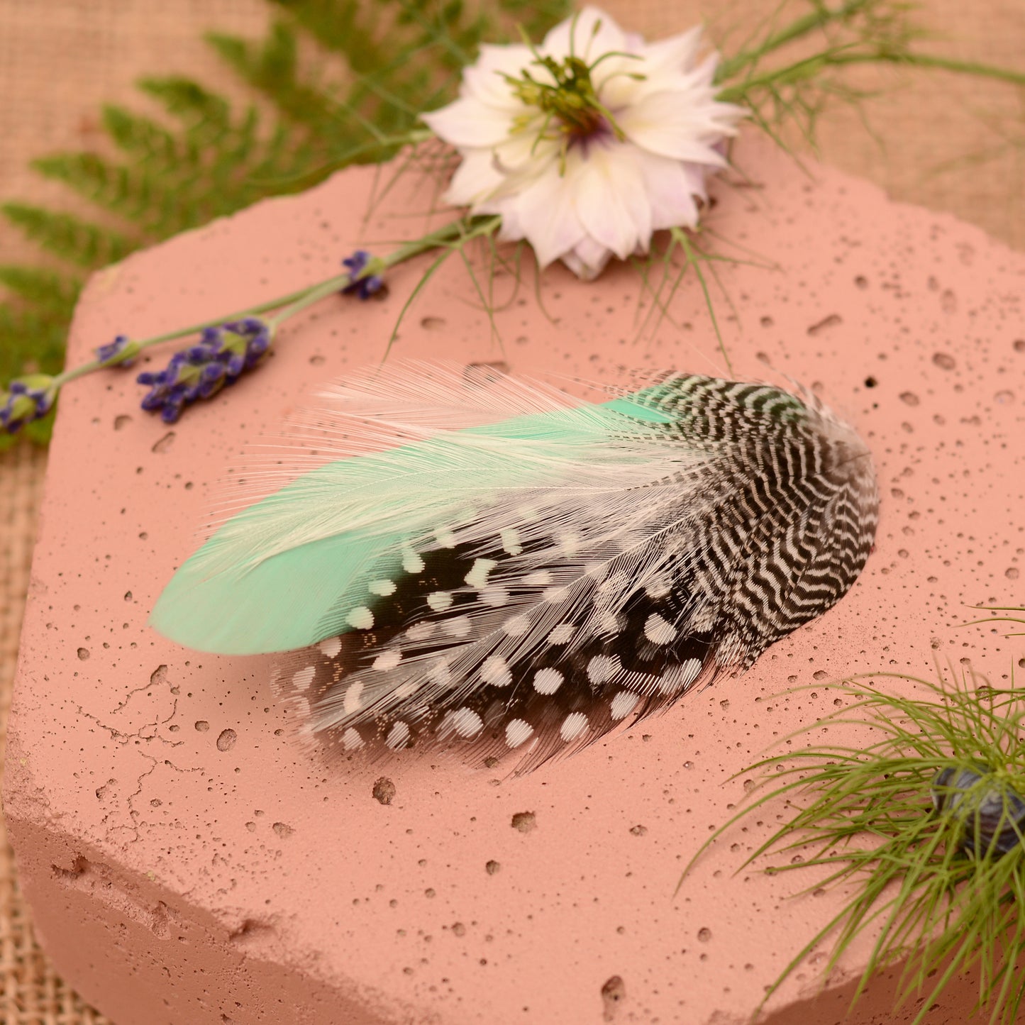 Feather Hair Clip in Mint Green and Polka Dot No.11