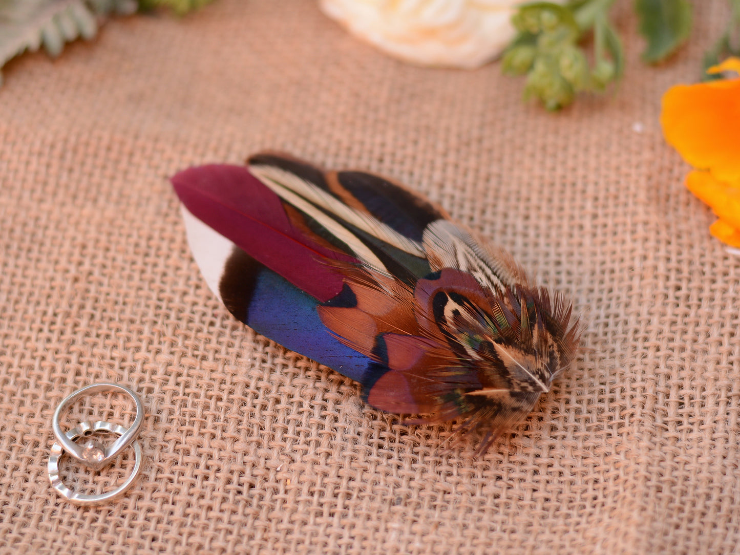 Feather Hair Clip in Navy Blue and Burgundy Pheasant and Duck Feathers No.77