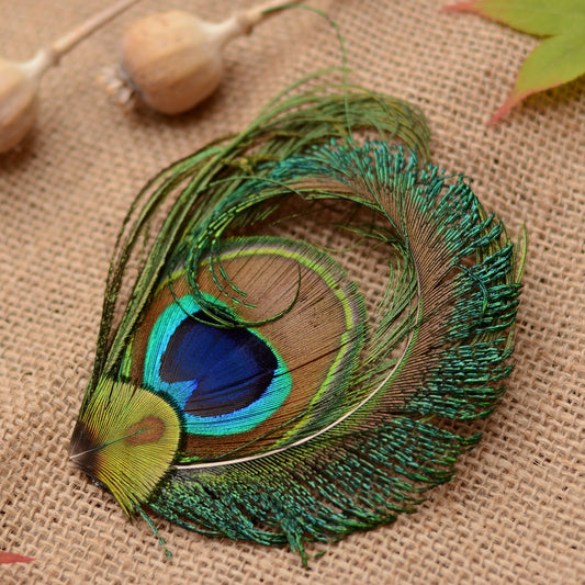 Peacock Feather Hair Clip Fascinator No.90