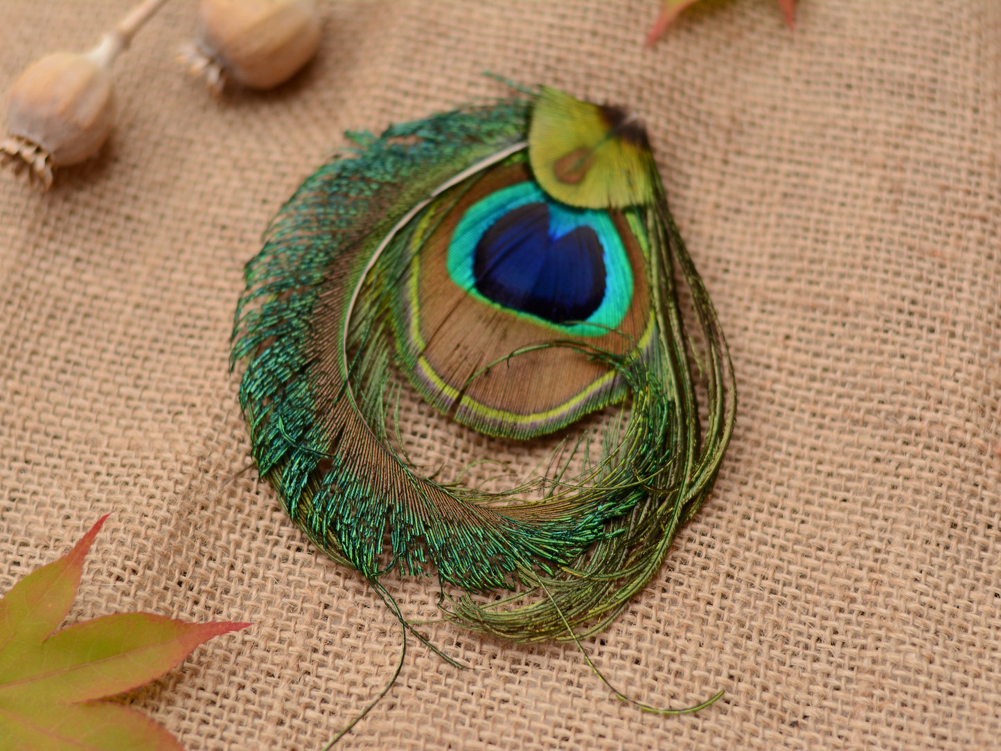 Peacock Feather Hair Clip Fascinator No.90