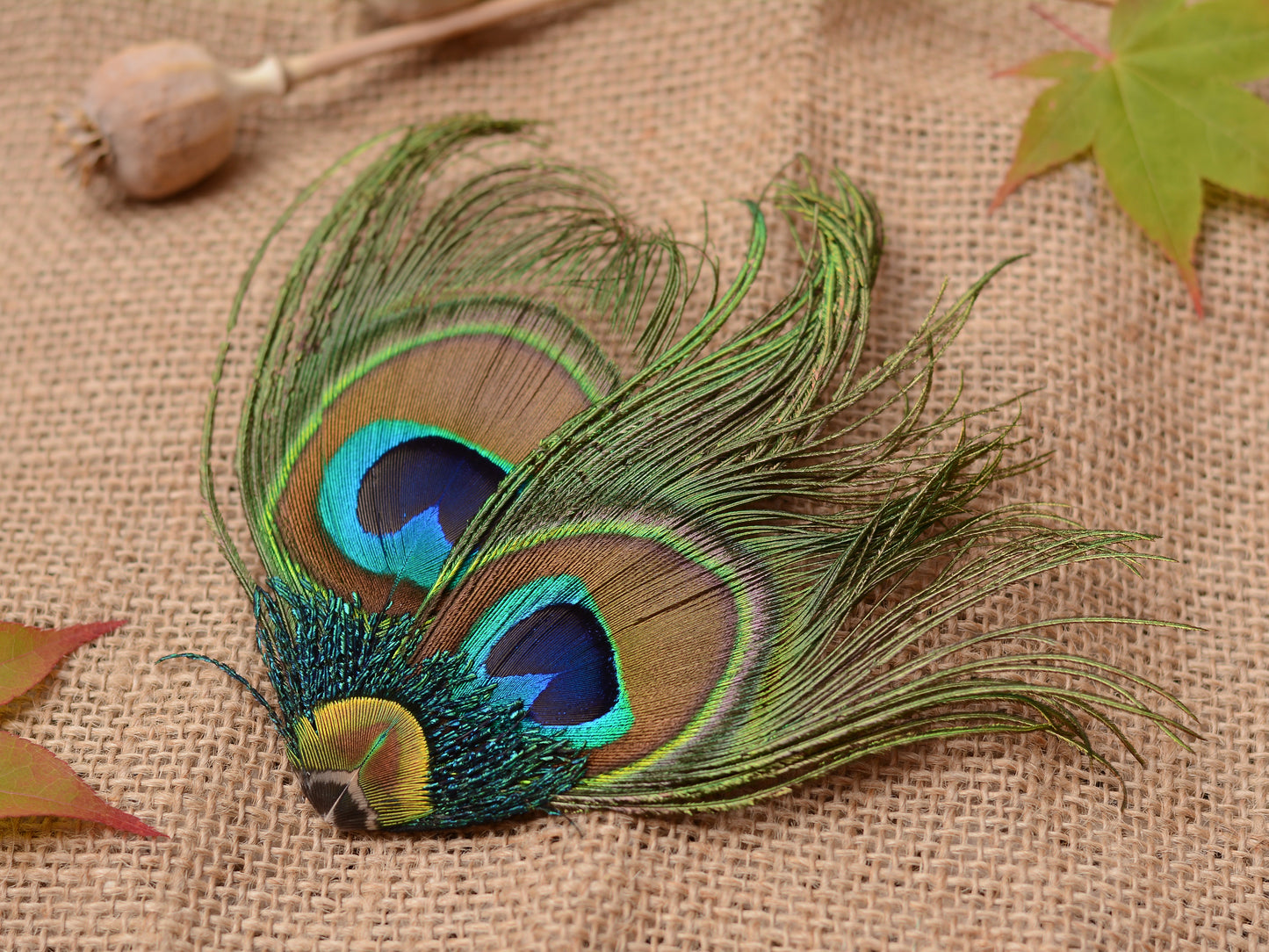 Peacock Feather Hair Clip No.091