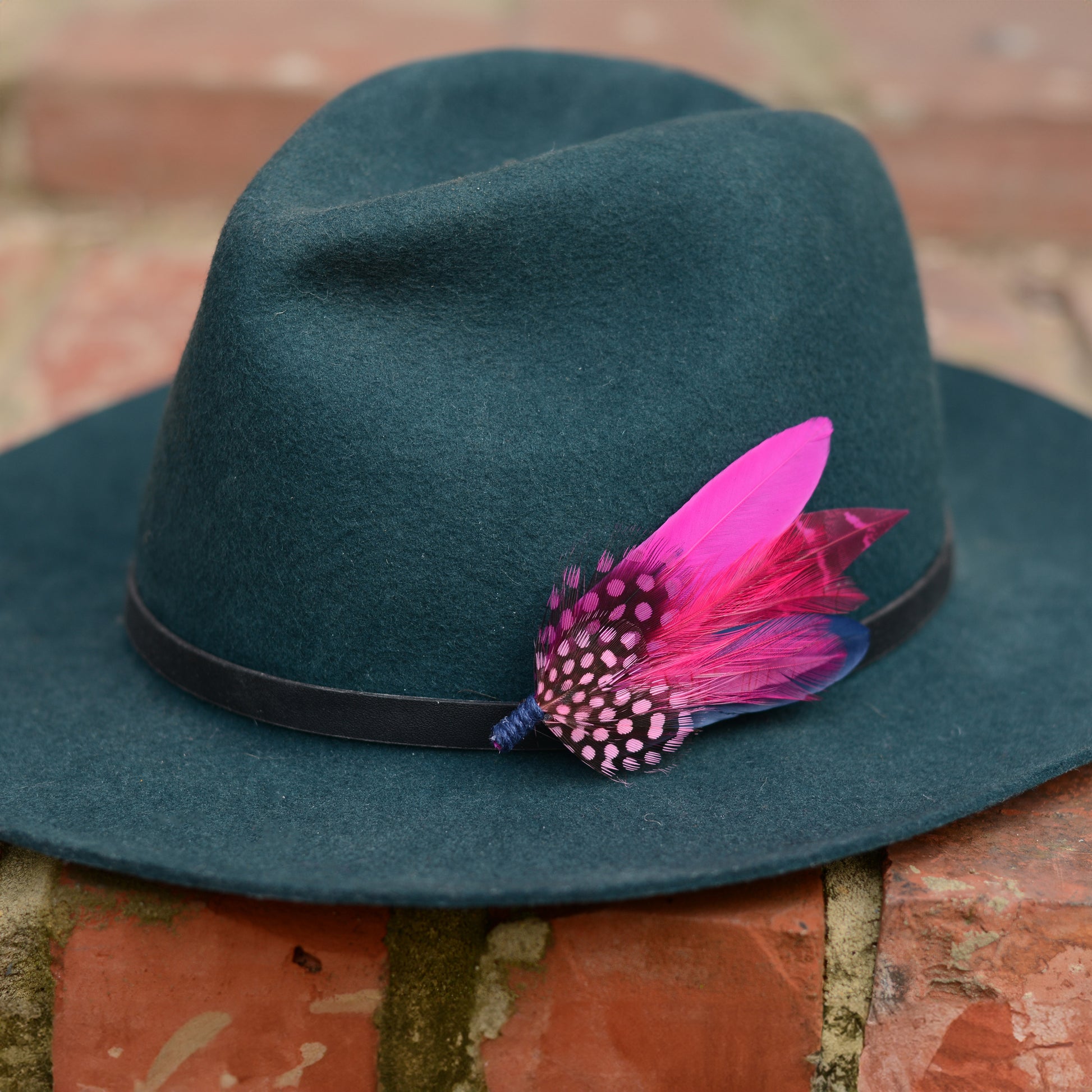Feather hat pin in hot pink and navy blue on a teal fedora hat