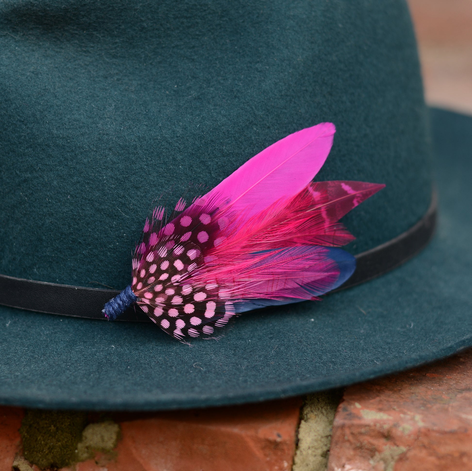 Feather hat pin in hot pink and navy blue on a teal fedora hat