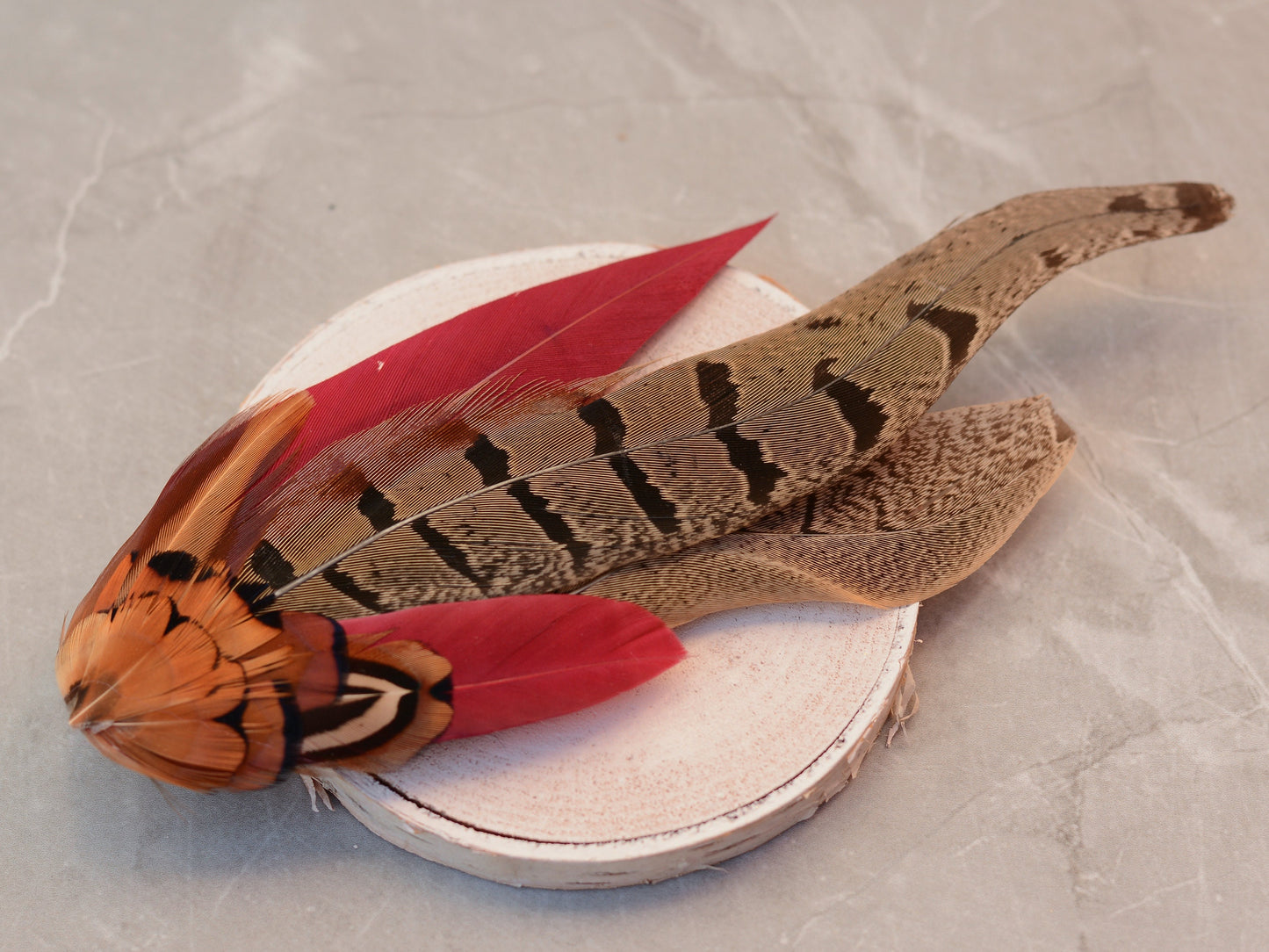 Large Copper Pheasant and Crimson Goose Feather Boutonniere / Hat Pin No.257 | Unique Hat Feather