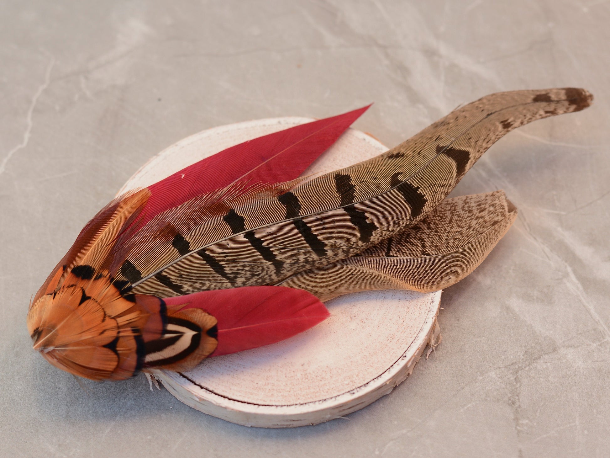 Large Copper Pheasant and Crimson Goose Feather Boutonniere / Hat Pin No.257 | Unique Hat Feather