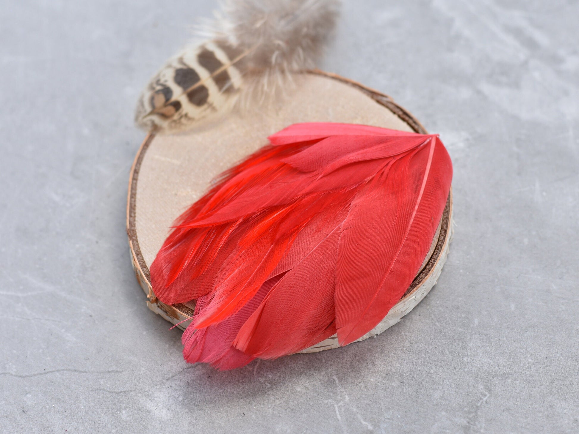 Red Feather Lapel Pin / Hat Pin No.129 | Unique Feather Boutonniere | Feather Brooch