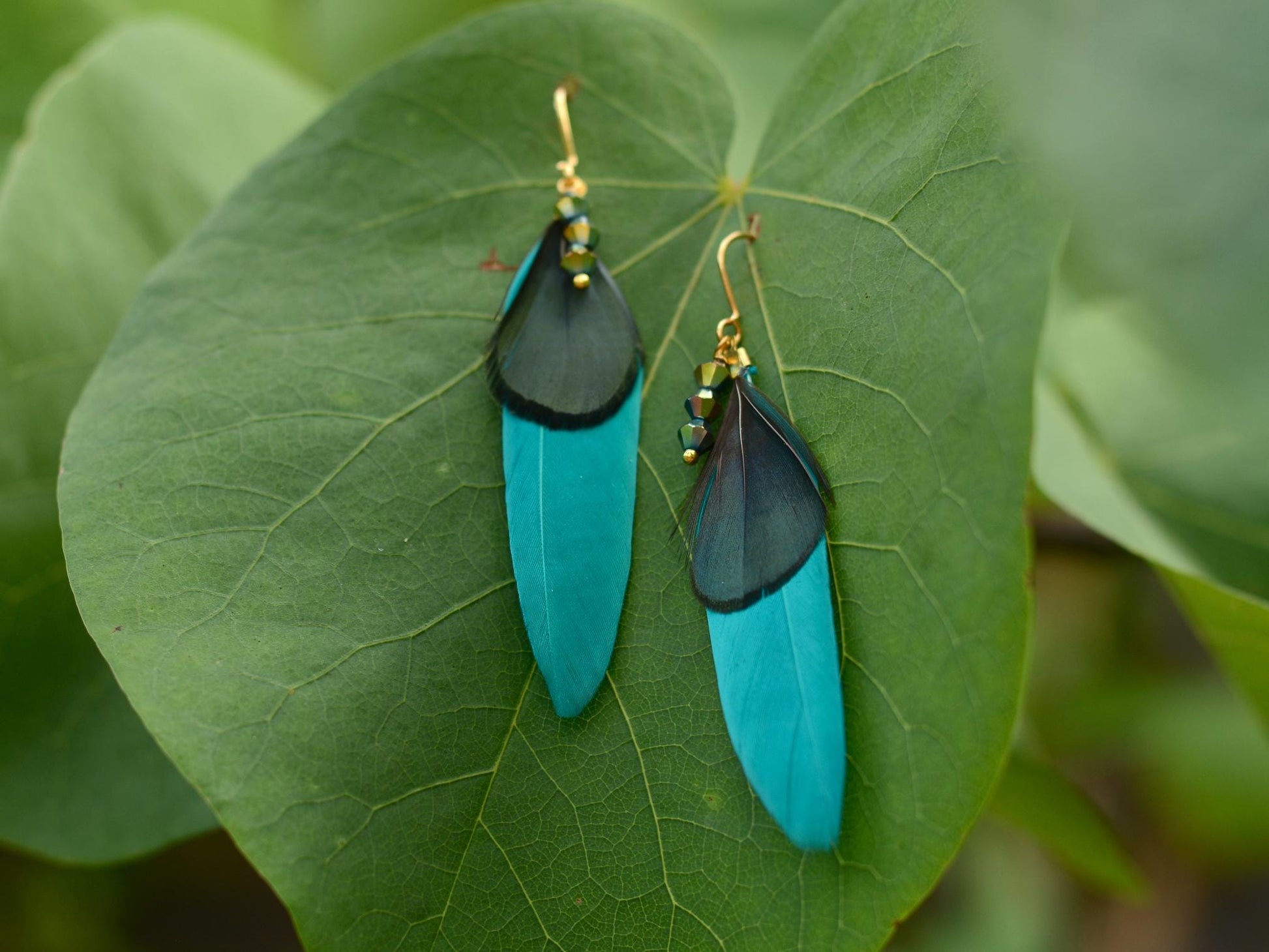 Teal, Green and Gold Feather Earrings