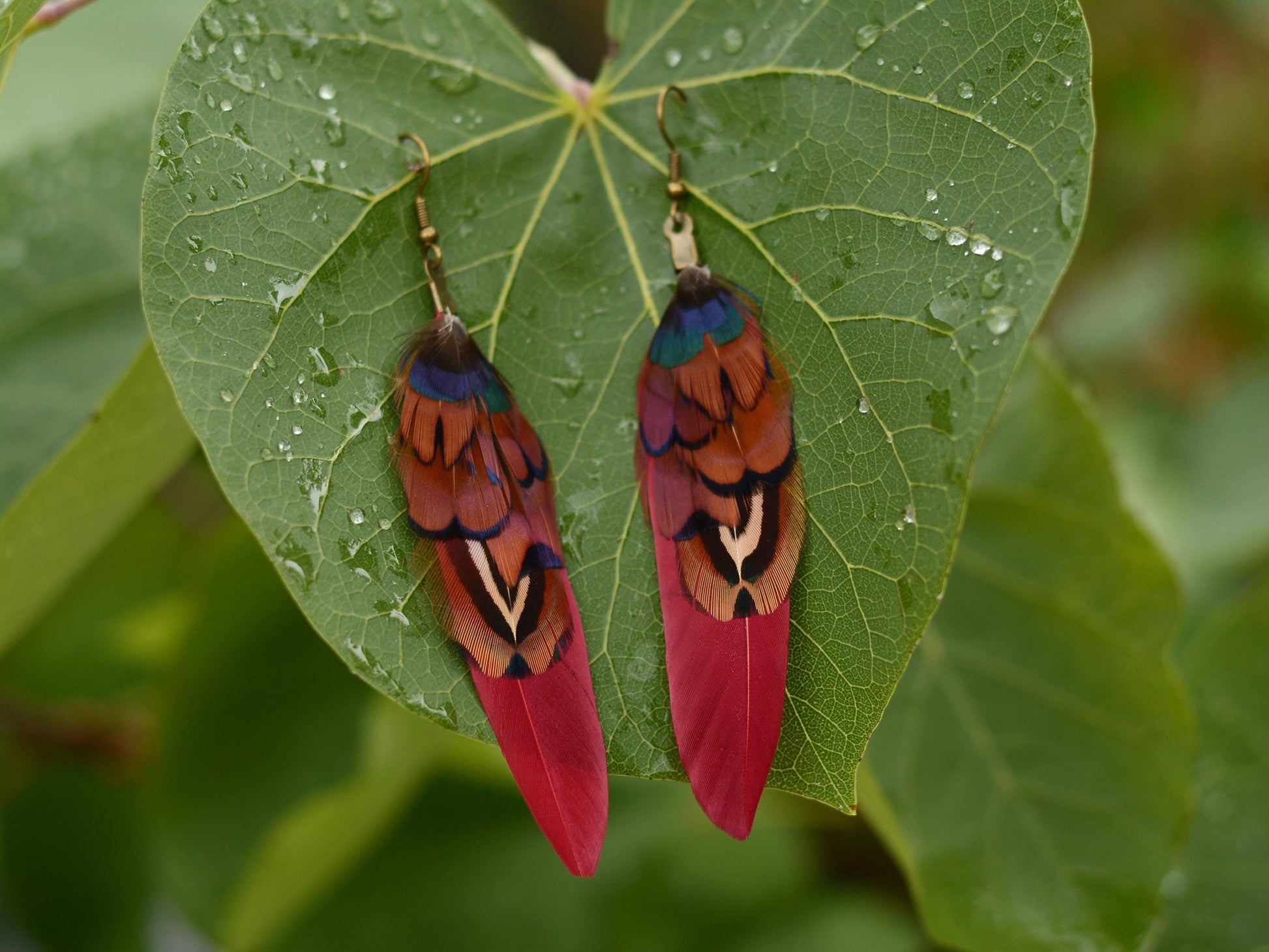 Burgundy and Copper Pheasant Feather Earrings | Festival Earrings | Feather Jewellery | Festival Jewellery | Drop Earrings