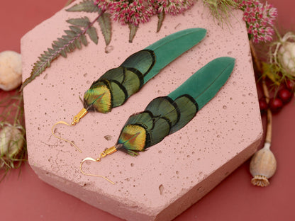 Green and Gold Feather Earrings | Peacock Feather Earrings | Festival Earrings | Feather Jewellery | Festival Jewellery | Drop Earrings