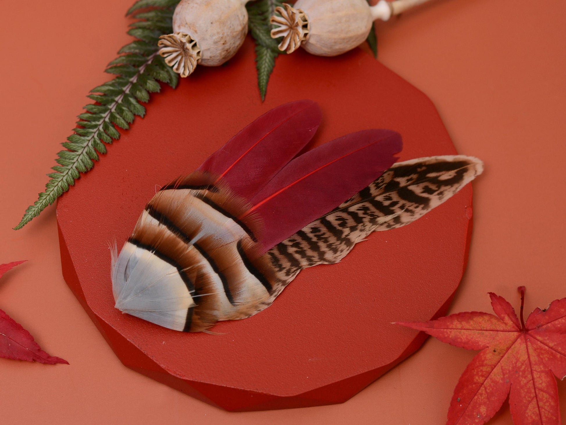 Feather Lapel Pin in Burgundy, Partridge and Pheasant | Feather Boutonniere | Pheasant Feather Brooch | Feather Hat Pin | Pheasant Lapel Pin
