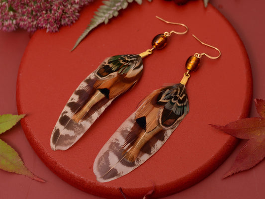Pheasant Feather Earrings with Amber Glass Bead | Festival Earrings | Feather Jewellery | Festival Jewellery