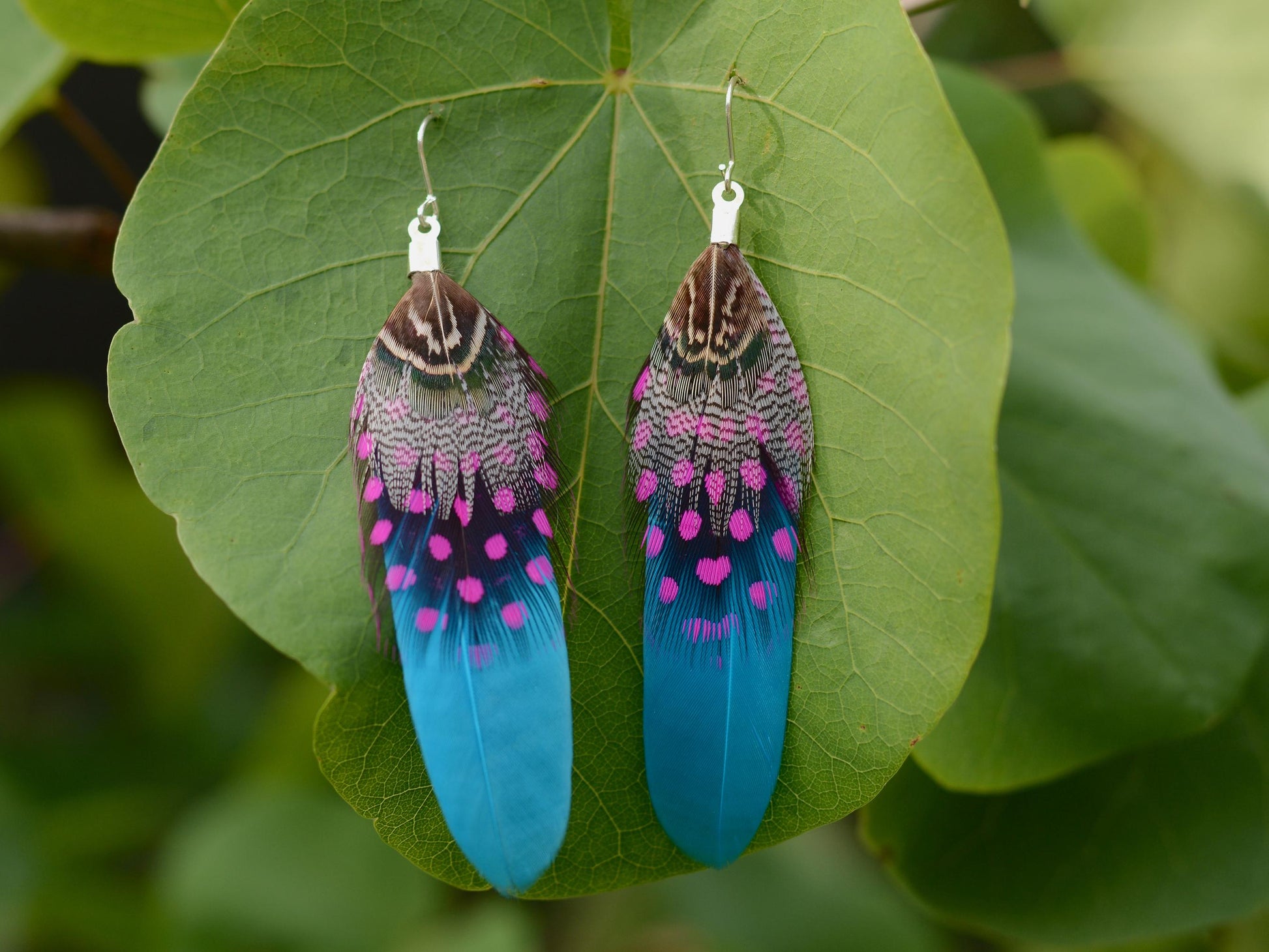 Turquoise Blue and Pink Feather Earrings | Festival Earrings | Feather Jewellery | Festival Jewellery | Drop Earrings