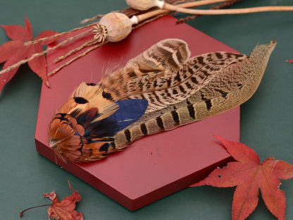 Pheasant Feather Hat Pin in Navy Blue, Copper and Blonde No.130 | Unique Feather Boutonniere | Pheasant Feather Brooch