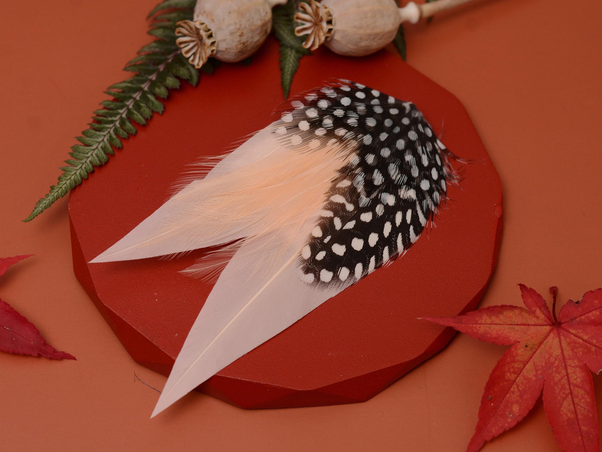 Blush Pink Feather Pin with Spotted Guinea Fowl Feathers | Feather Boutonniere | Feather Brooch | Feather Hat Pin