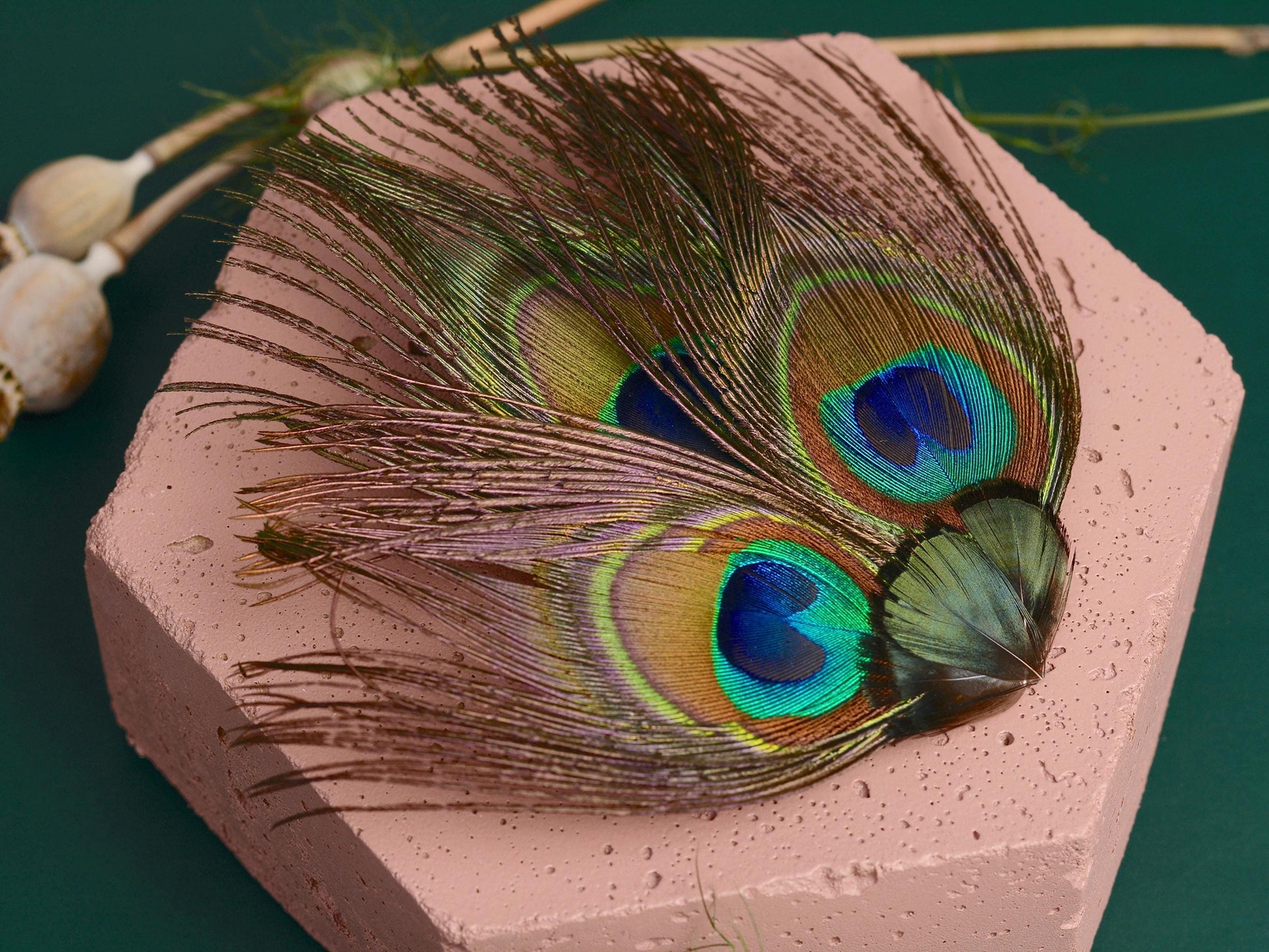 Peacock Feather Hair Clip | Peacock Feather Fascinator | Peacock Feather Headpiece | Wedding Fascinator | Green Feather Fascinator