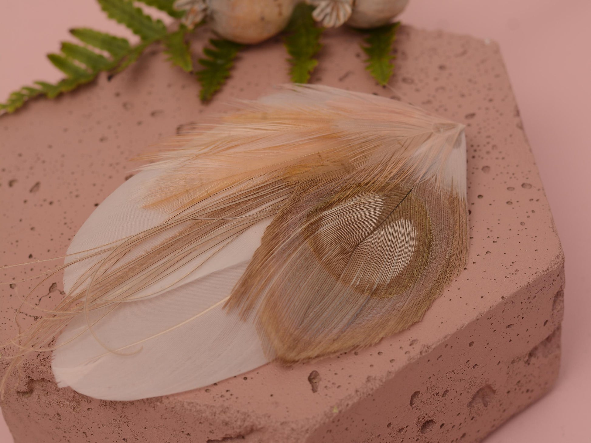 Feather Hair Clip in Golden Blush Pink and Antique Ivory Peacock | Bridal Feather Hair Clip | Blush Feather Fascinator