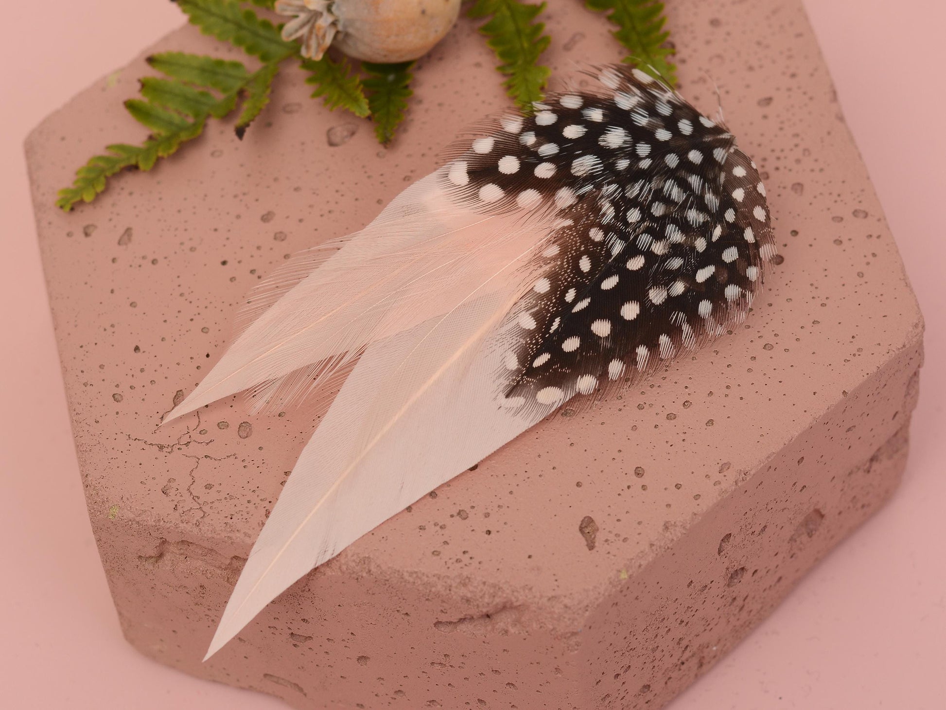 Blush Pink Feather Hair Clip with Polka Dots | Pink Feather Fascinator | Blush Feather Headpiece | Wedding Fascinator | Bridal Headpiece