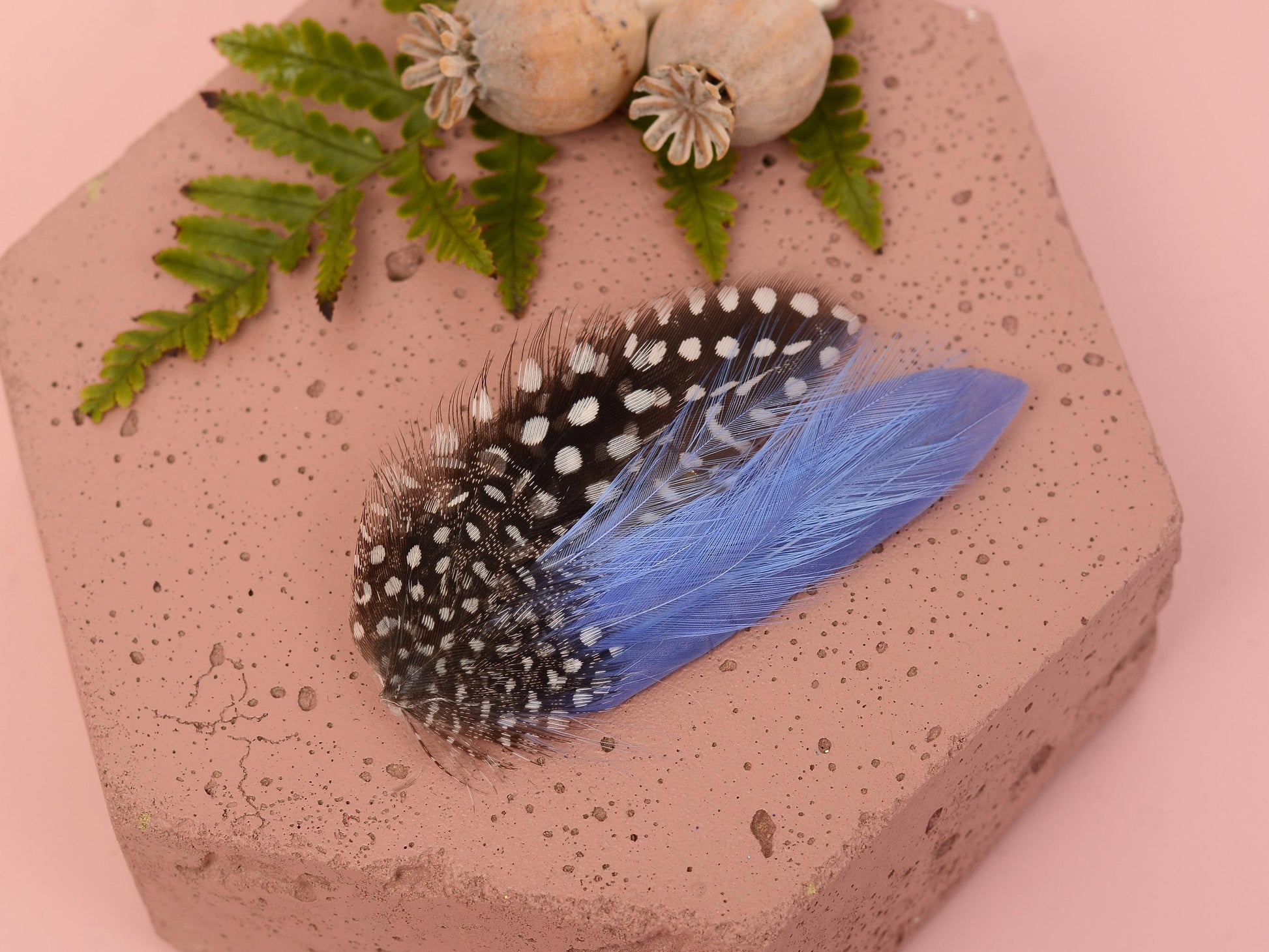 Feather Hair Clip in Cornflower Blue and Polka Dot | Blue Feather Hair Clip | Pastel Blue Feather Headpiece | Wedding Fascinator