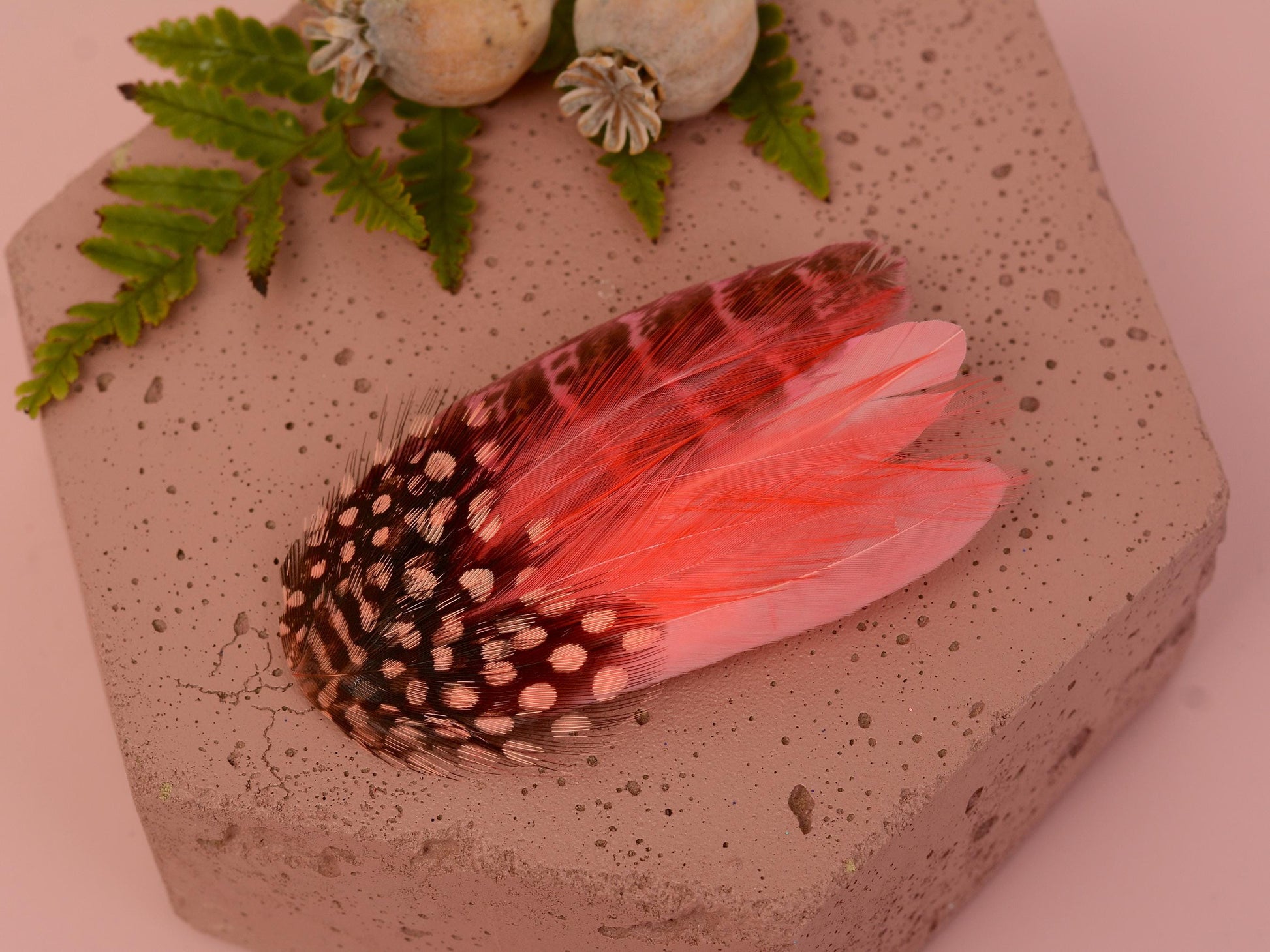 Coral and Blush Pink Feather Hair Clip | Pink Feather Fascinator | Pink Feather Headpiece