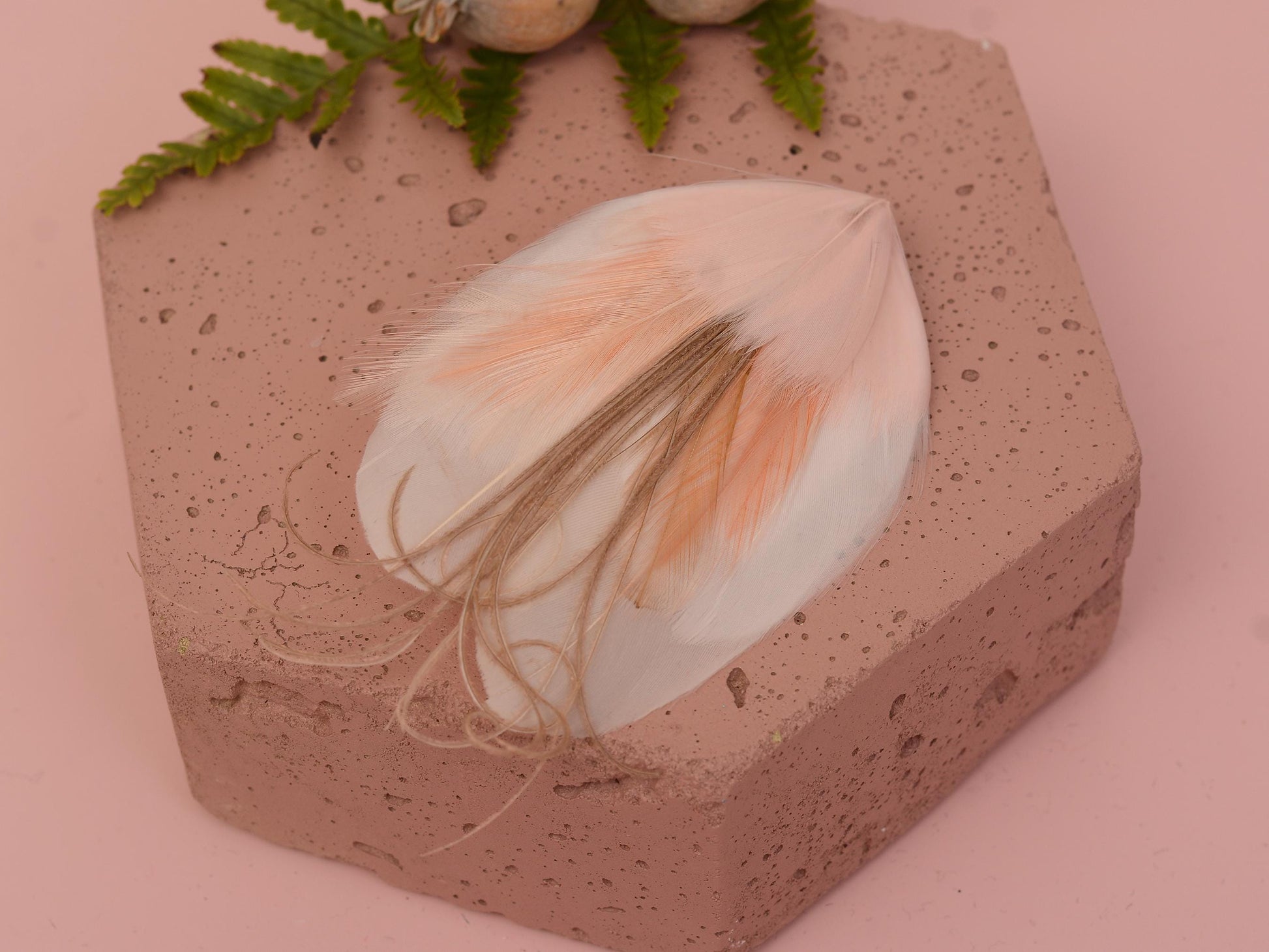 Feather Hair Clip in Blush Pink | Feather Fascinator | Feather Headpiece | Bridal Hair Clip | Bridesmaids Hair Clip