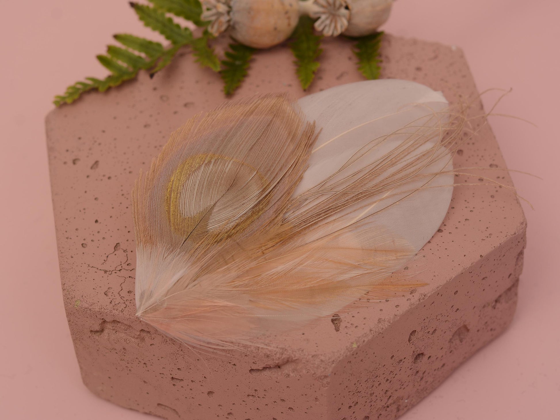 Feather Hair Clip in Golden Blush Pink and Antique Ivory Peacock | Bridal Feather Hair Clip | Blush Feather Fascinator