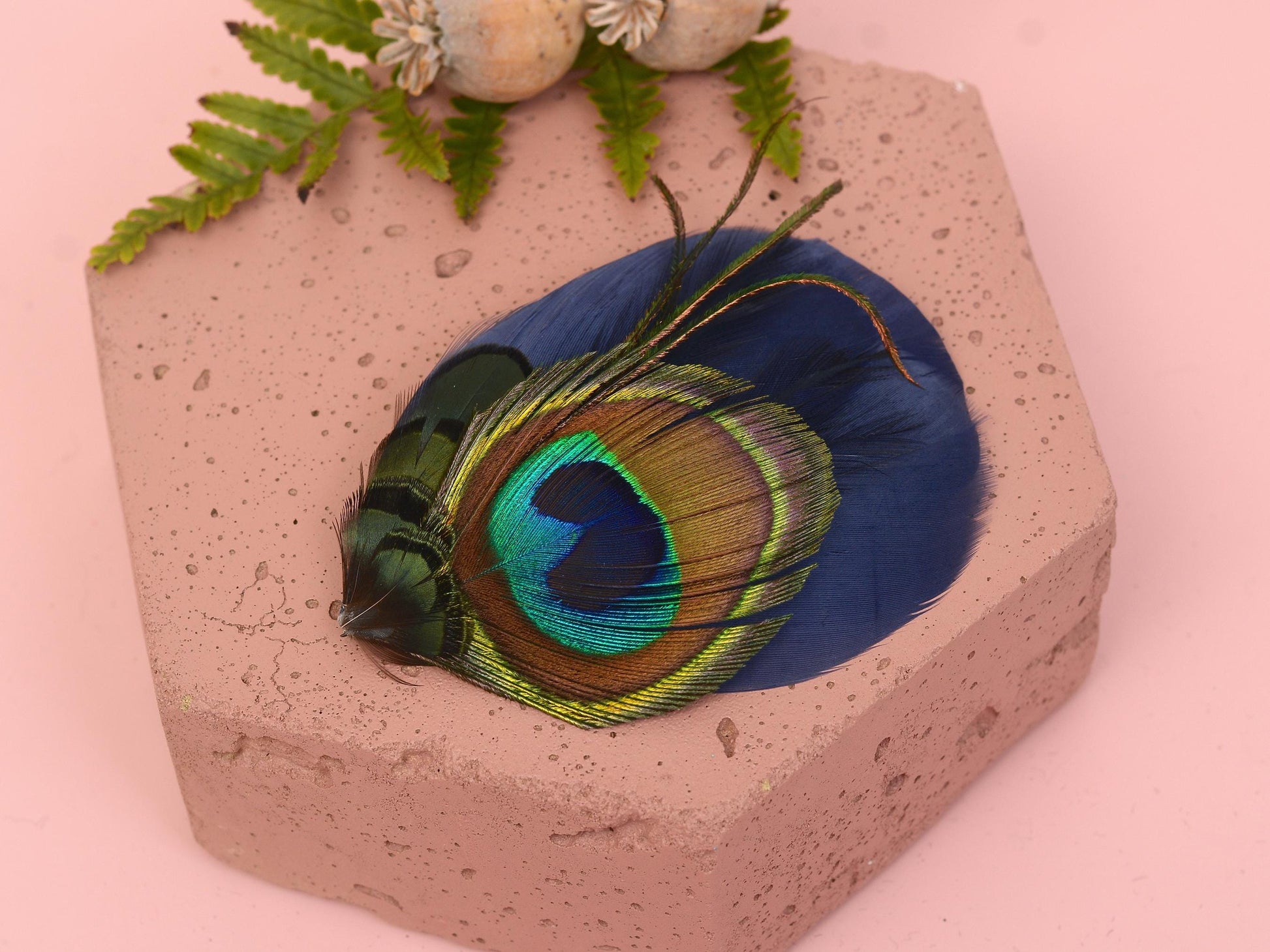 Navy Blue Peacock Eye Feather Hair Clip, Peacock Feather Fascinator