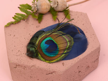Navy Blue Peacock Eye Feather Hair Clip, Peacock Feather Fascinator