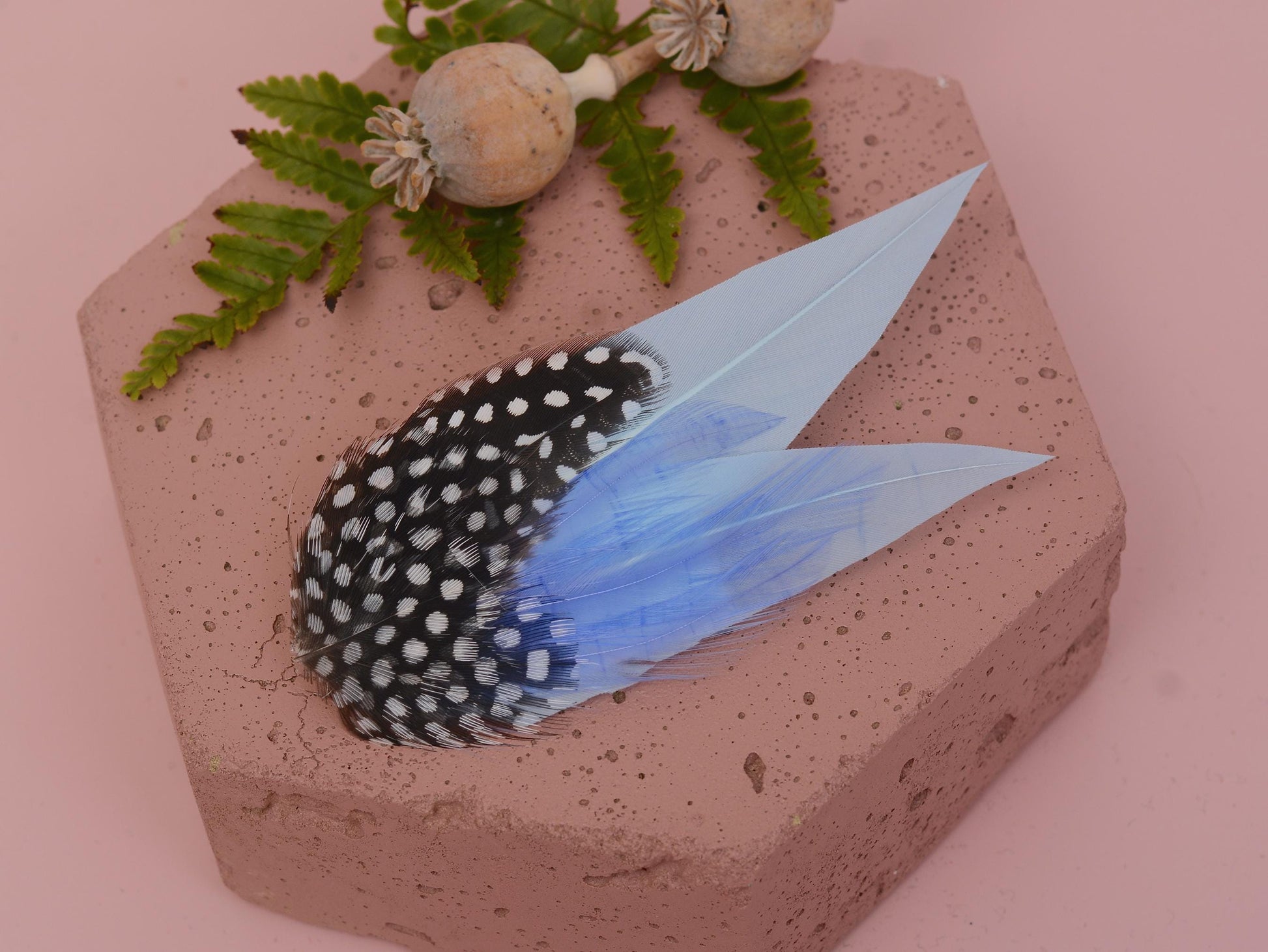 Pastel Blue and Polka Dot Feather Hair Clip | Blue Feather Fascinator | Blue Feather Headpiece | Wedding Fascinator | Bridal Headpiece