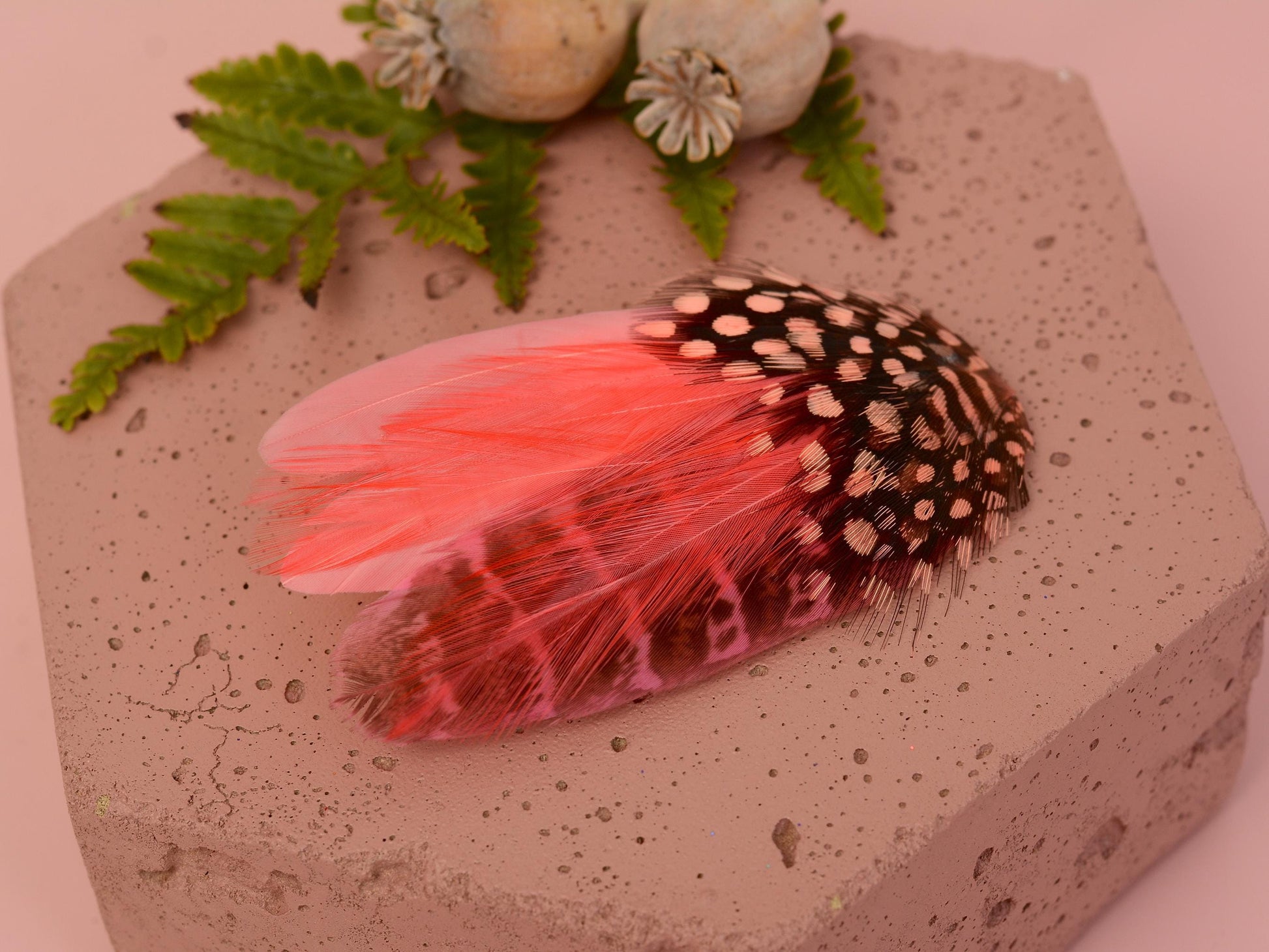 Coral and Blush Pink Feather Hair Clip | Pink Feather Fascinator | Pink Feather Headpiece