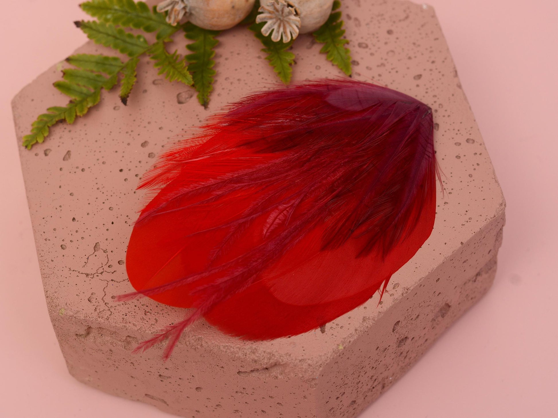 Red and Crimson Feather Hair Clip | Red Feather Fascinator | Red Feather Headpiece | Red Fascinator | Wedding Fascinator | Bridal Headpiece