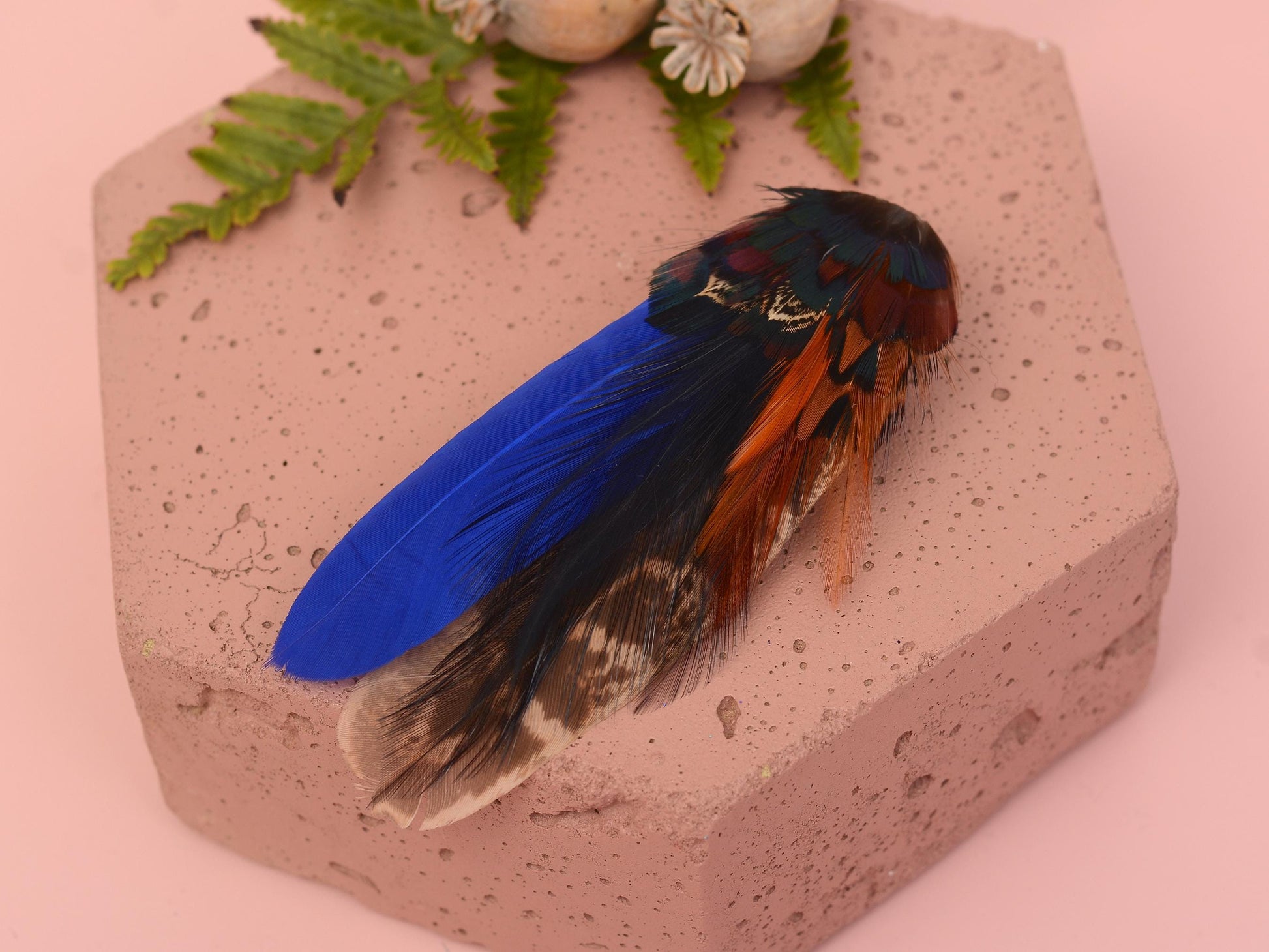 Blue and Copper Pheasant Feather Hair Clip | Feather Fascinator | Bridal | Bridesmaid Hair Clip | Wedding Fascinator