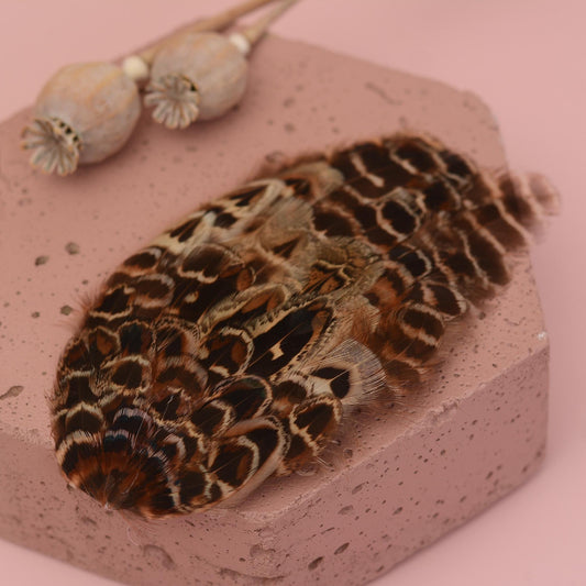 Feather Fascinator in Natural Hen Pheasant, Feather Hair Clip, Wedding Hair Clip