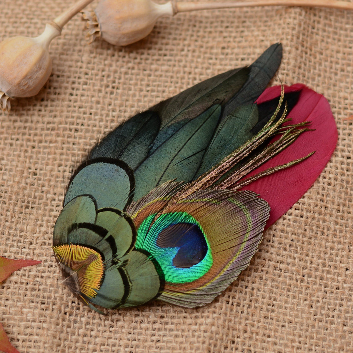 A decorative feather fascinator featuring a peacock feather with its characteristic green, blue, and gold eye pattern layered over a burgundy feather, displayed on a textured burlap background with dried seed heads in the corner.