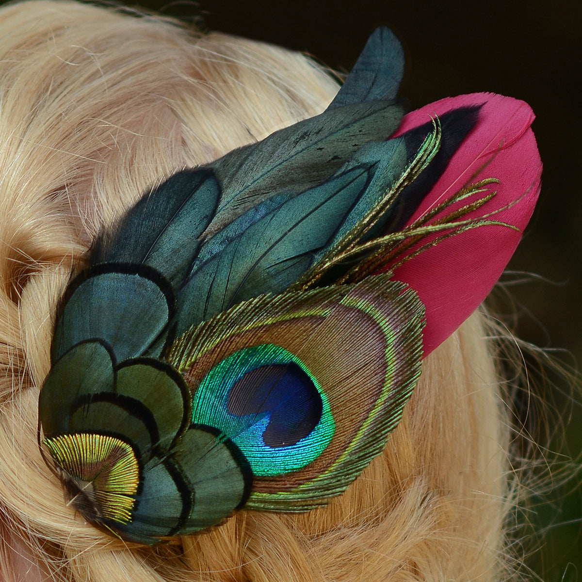A close-up of a blonde person's braided hair adorned with a large decorative feather accessory featuring peacock-like blue, green, brown, and burgundy feathers.